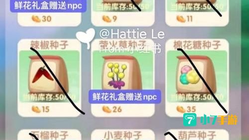 摩尔庄园怎么买种子