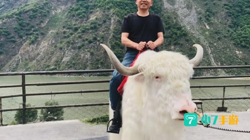 牦牛坐骑